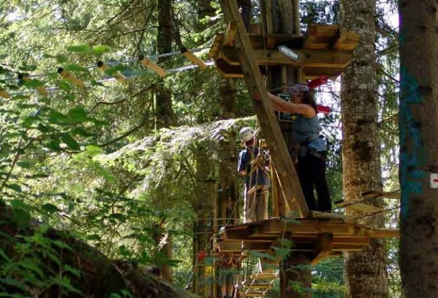 Installations entre les arbres